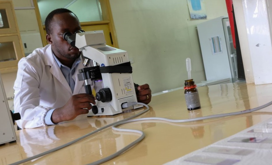 Dan Nyehangane au microscope