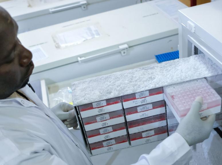 Laboratory cold room, Maradi, Niger