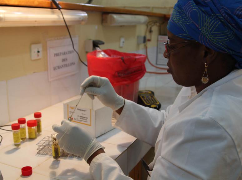 Processing samples from the rotavirus clinical trial in Niger.