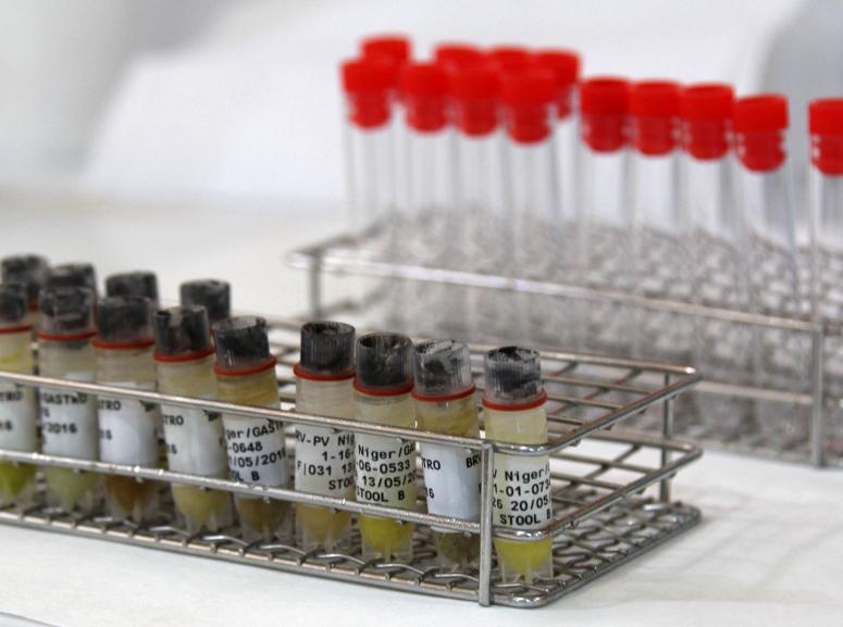 Échantillons de l'essai clinique du vaccin rotavirus au Niger